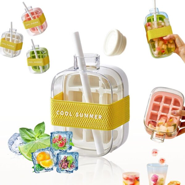 2-in-1 Juice Bottle & Ice Cube Make