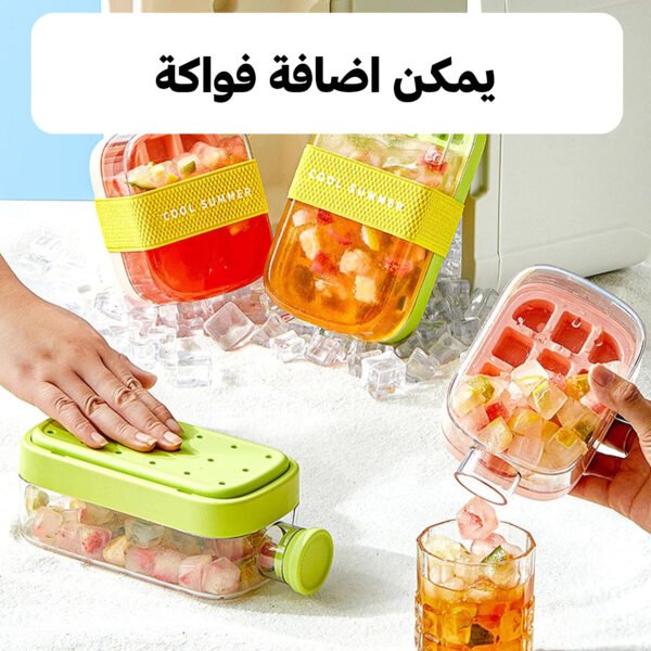 2-in-1 Juice Bottle & Ice Cube Make