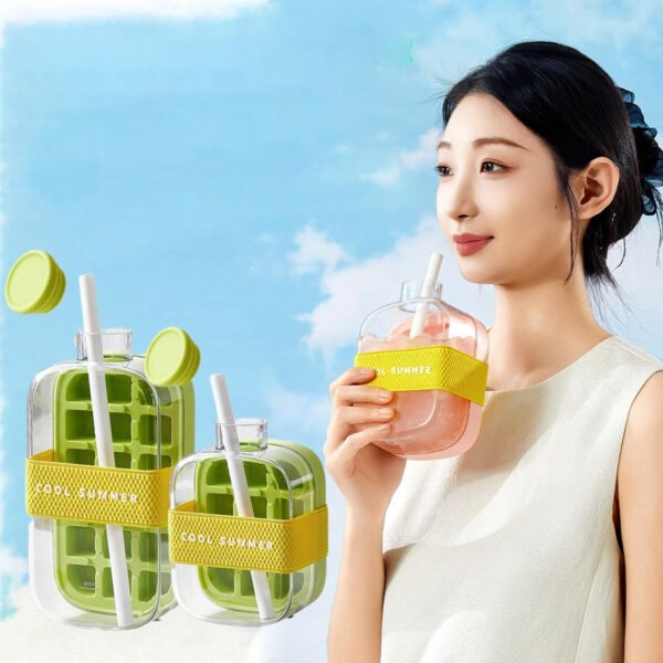 2-in-1 Juice Bottle & Ice Cube Make
