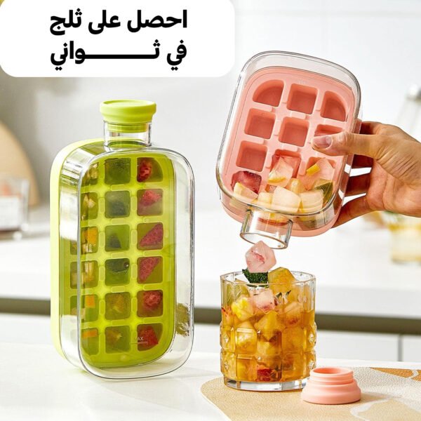 2-in-1 Juice Bottle & Ice Cube Make